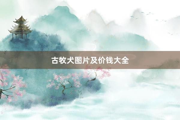 古牧犬图片及价钱大全